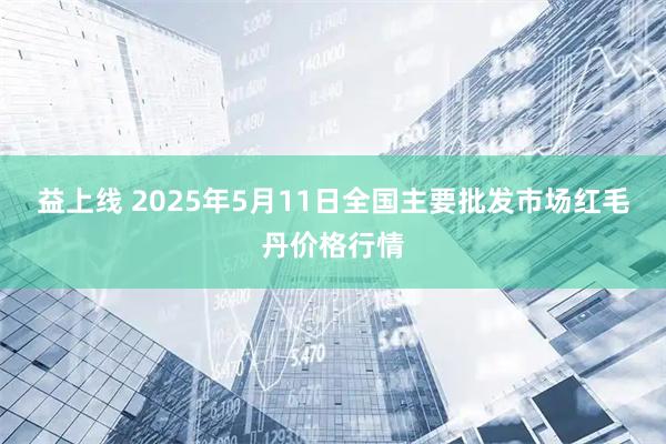 益上线 2025年5月11日全国主要批发市场红毛丹价格行情