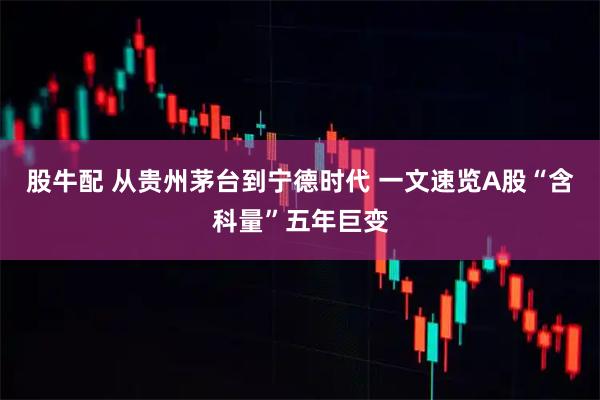 股牛配 从贵州茅台到宁德时代 一文速览A股“含科量”五年巨变